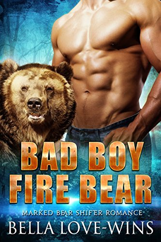 Bad Boy Fire Bear book cover