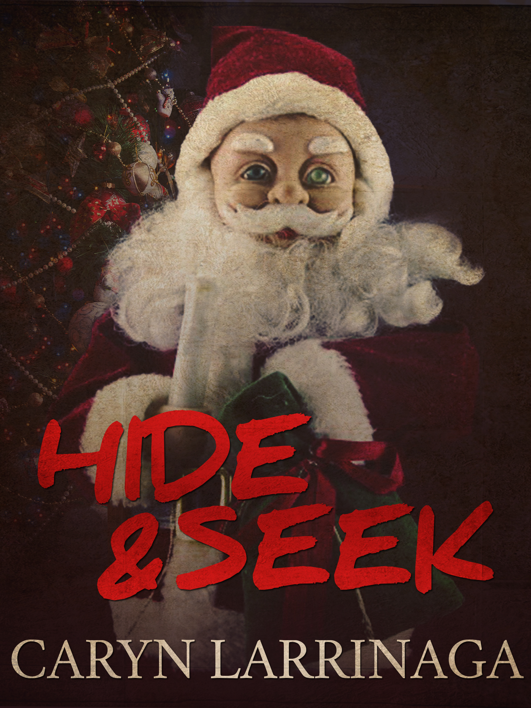 Hide and Seek book cover