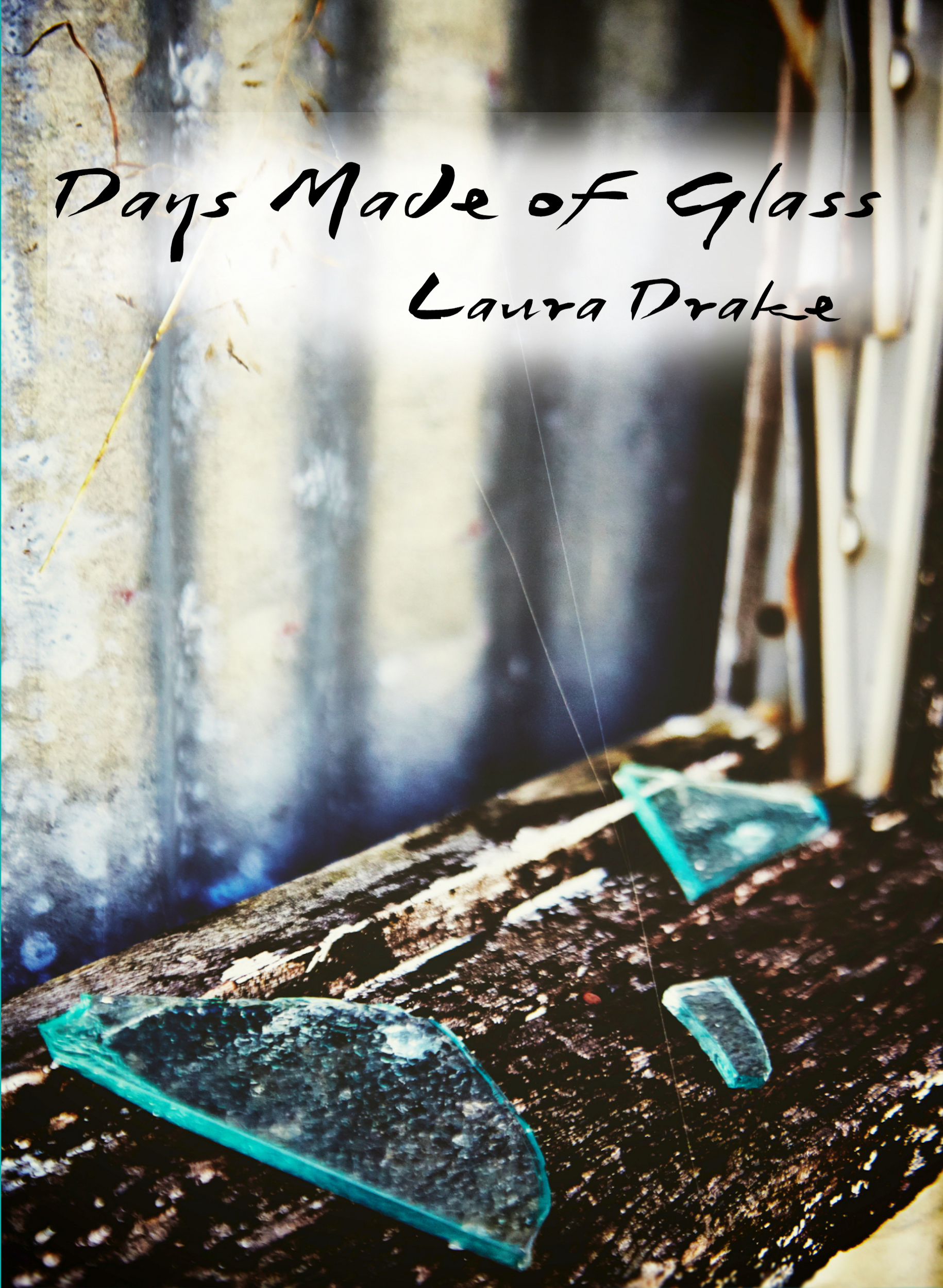 Days Made of Glass book cover