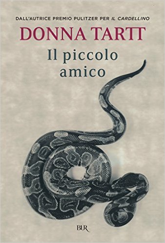Il piccolo amico