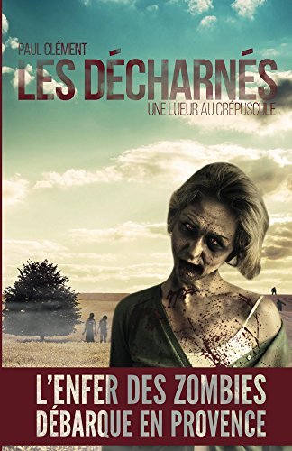 Une lueur au crépuscule book cover