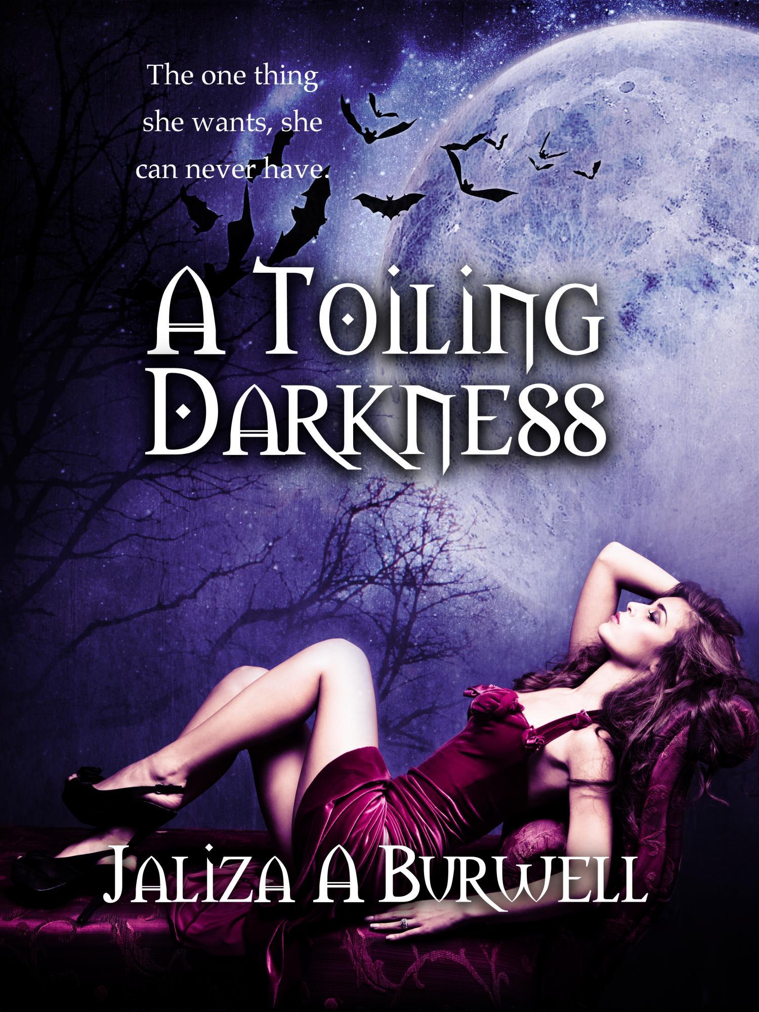 A Toiling Darkness book cover