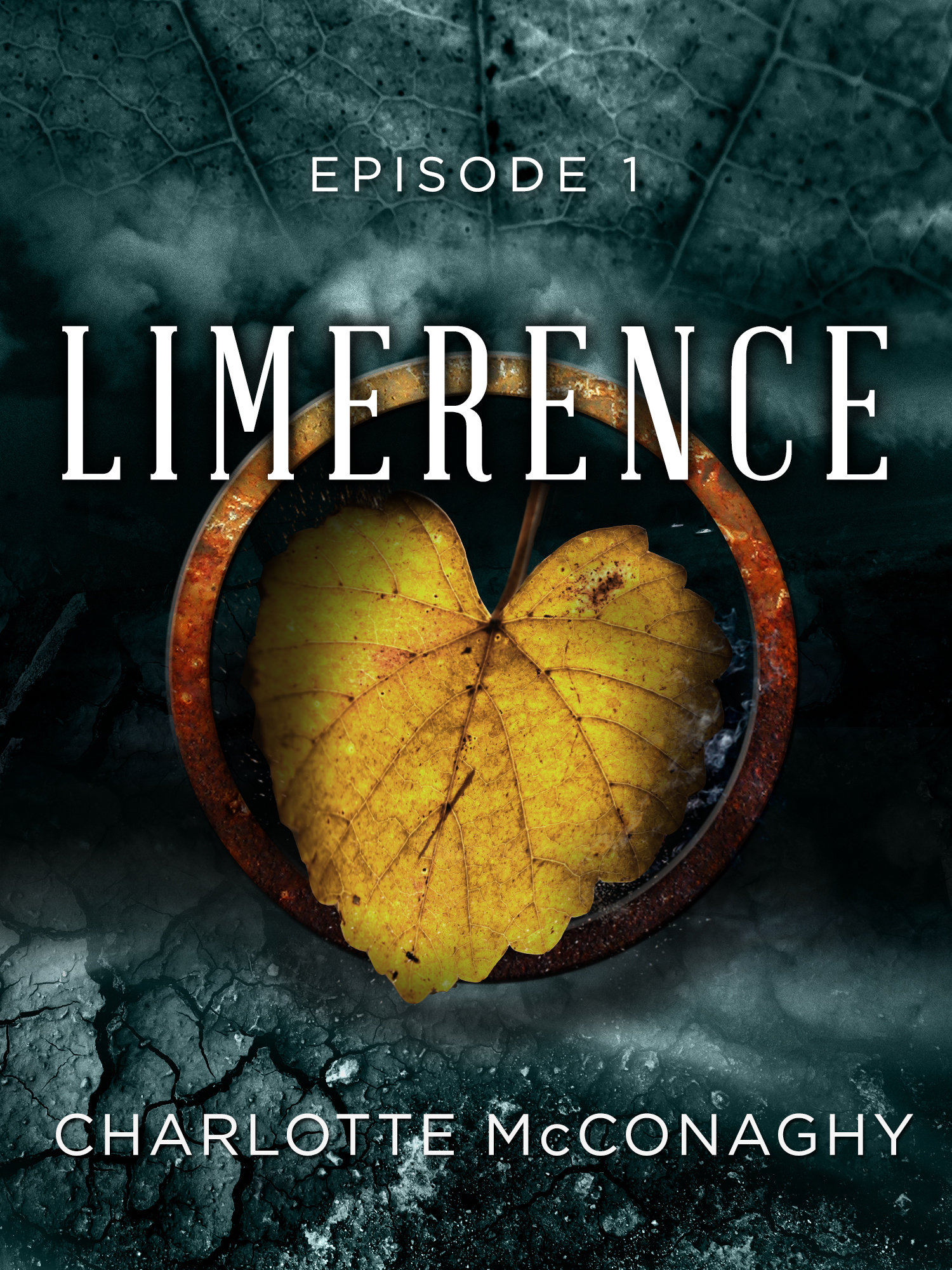 Limerence book cover