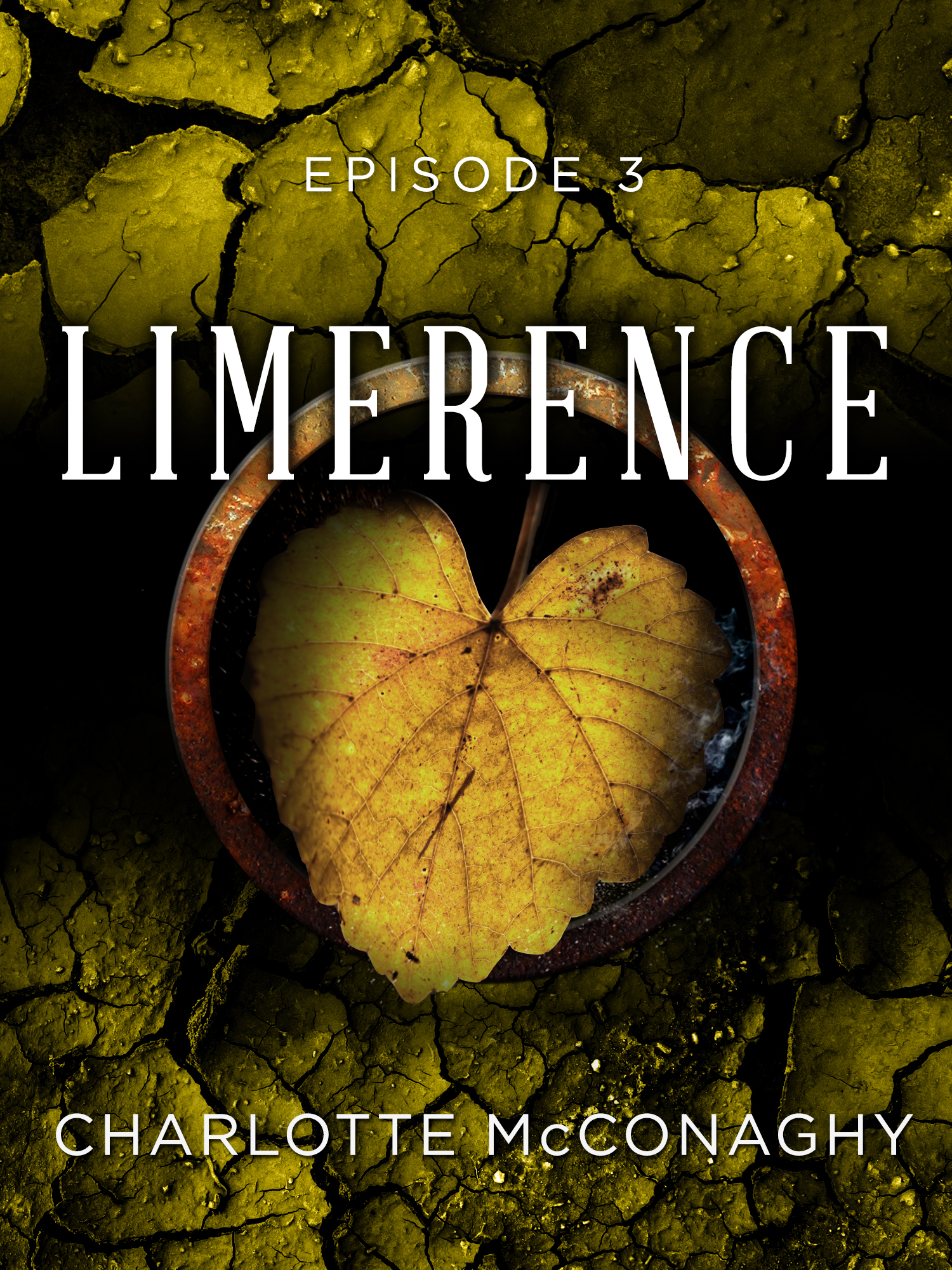 Limerence book cover