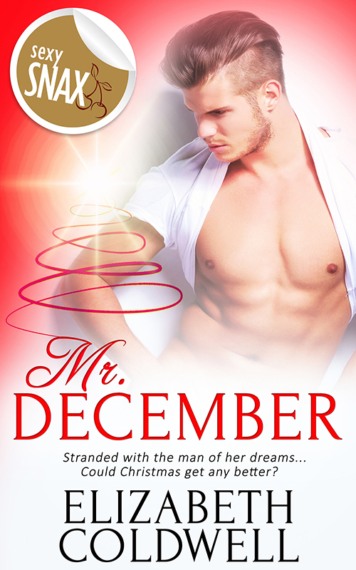 Mr. December by Elizabeth Coldwell Goodreads