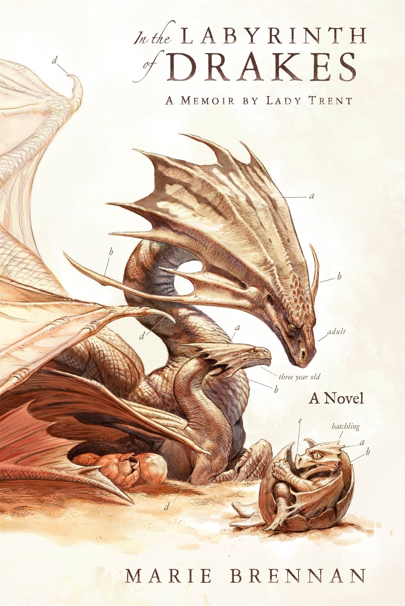 In the Labyrinth of Drakes (The Memoirs of Lady Trent, #4)