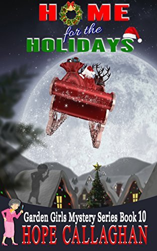Home for the Holidays book cover