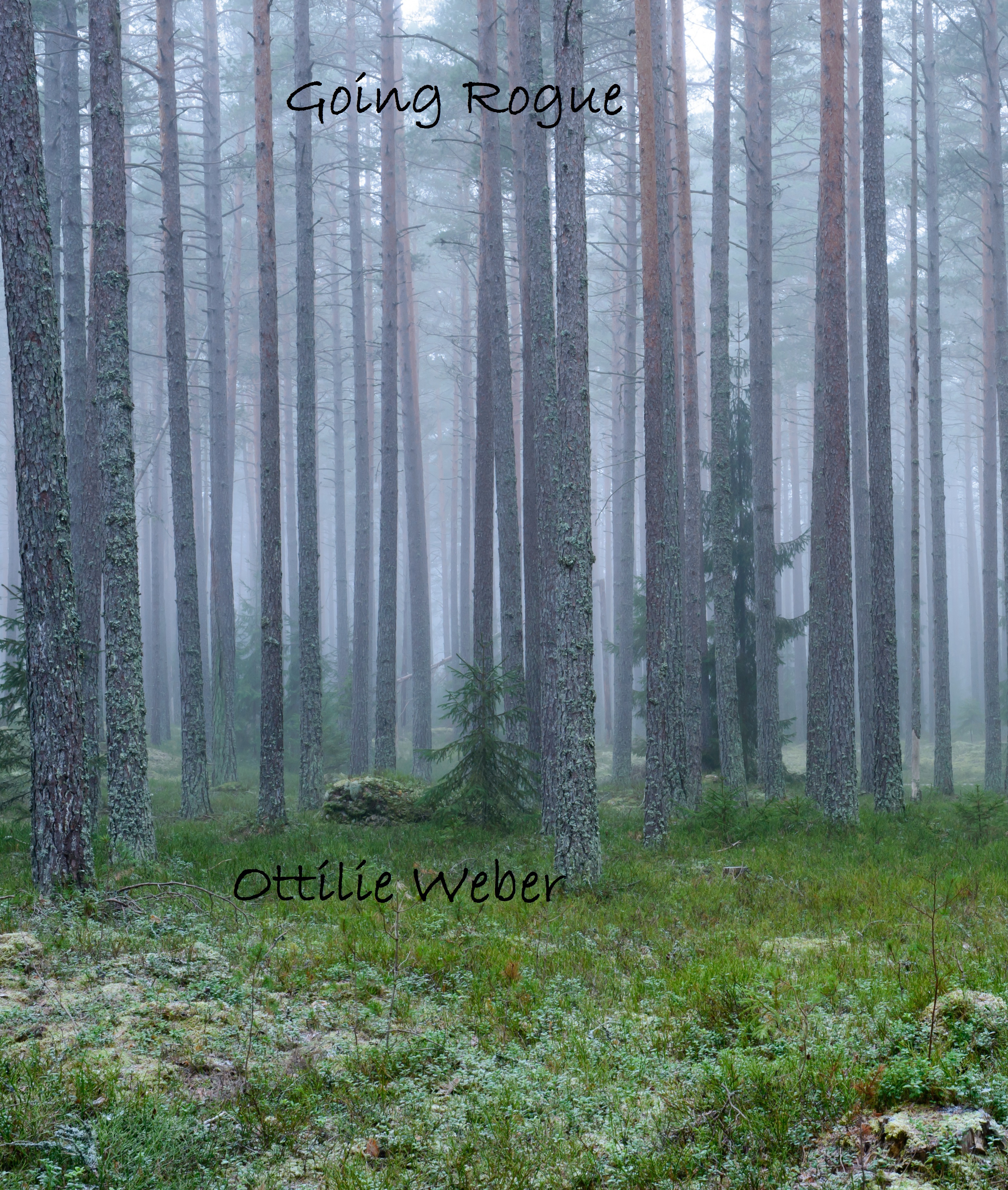 End of the Line book cover 2