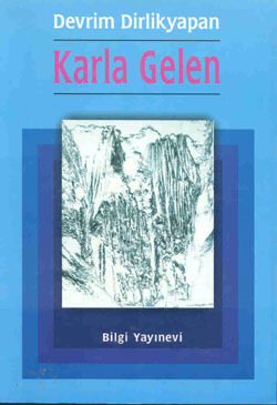 Karla Gelen book cover