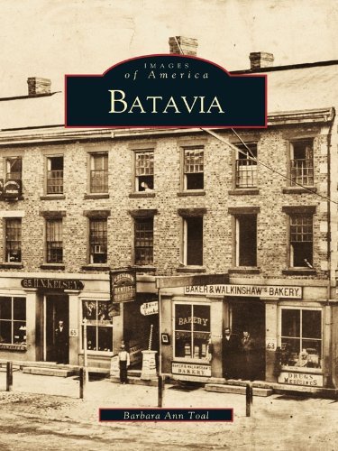 Batavia book cover