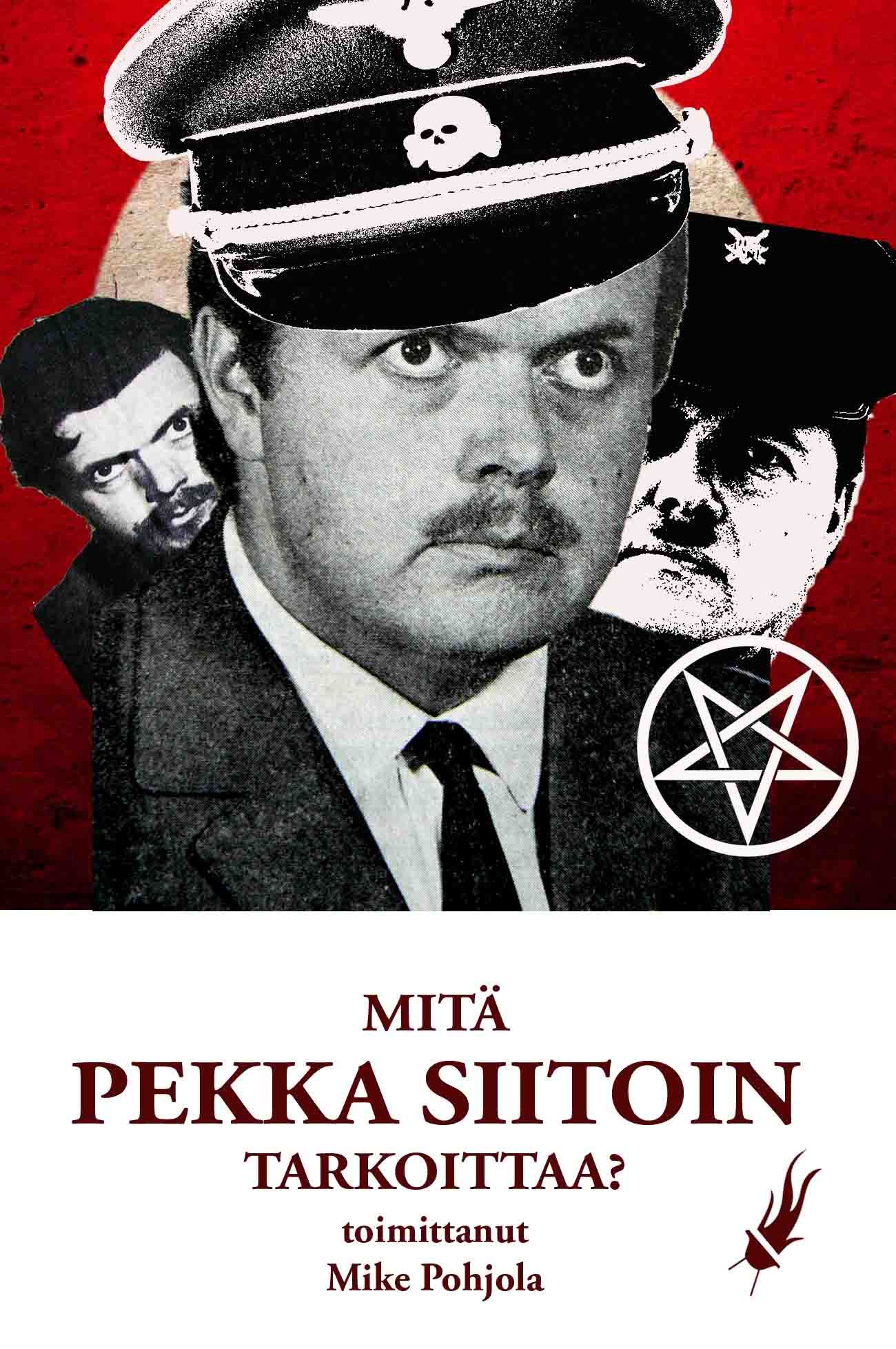 Mitä Pekka Siitoin tarkoittaa?