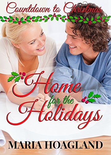 Home for the Holidays book cover