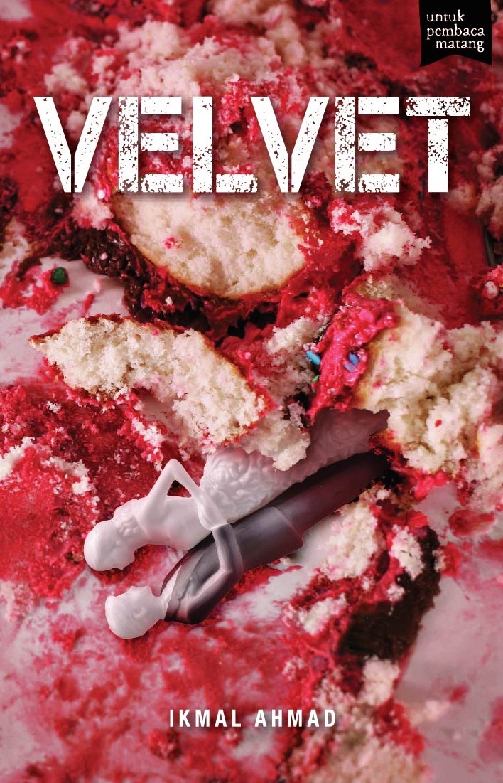 VELVET book cover