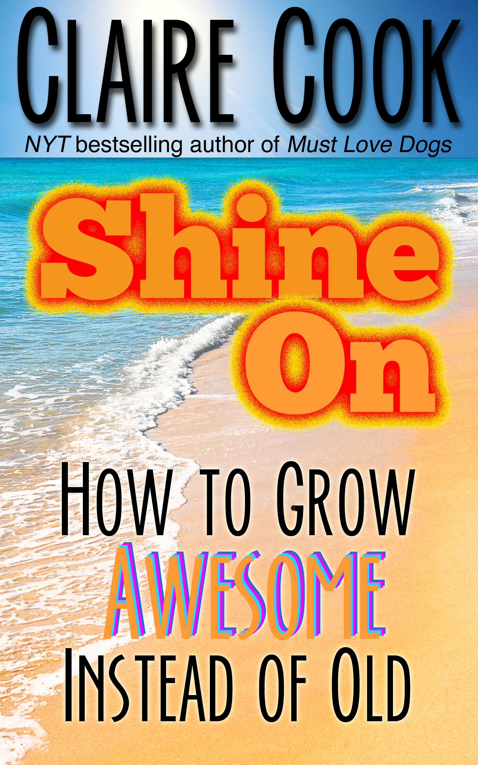 Shine On book cover