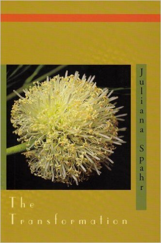 The Transformation book cover