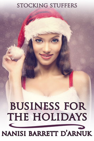 Business for the Holidays book cover