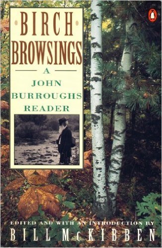 Birch Browsings book cover