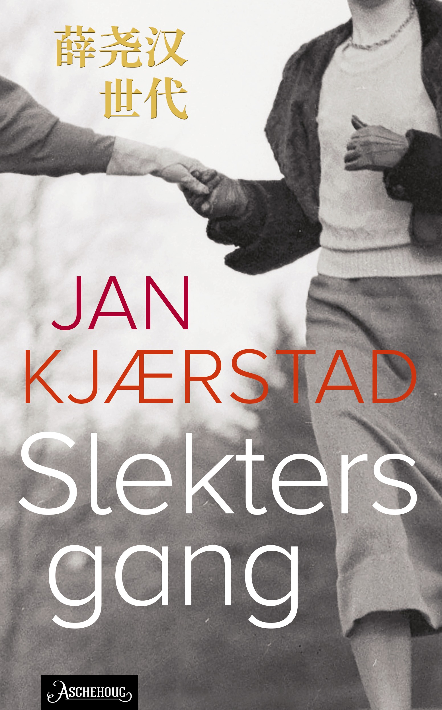 Slekters gang book cover