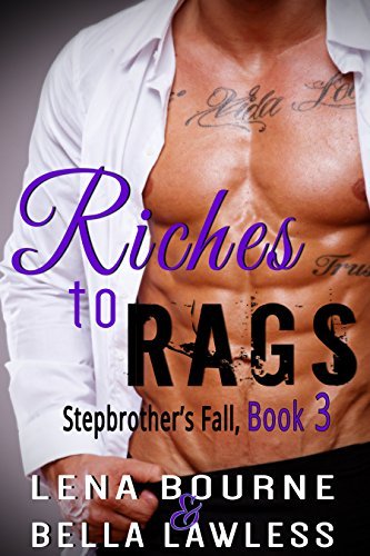 Stepbrother's Fall book cover 2