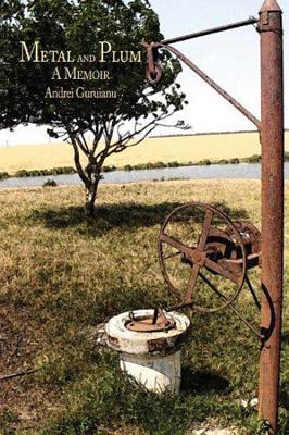 Metal and Plum book cover