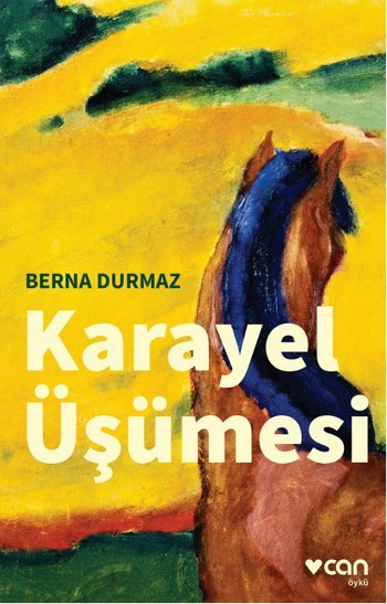 Karayel Üşümesi book cover