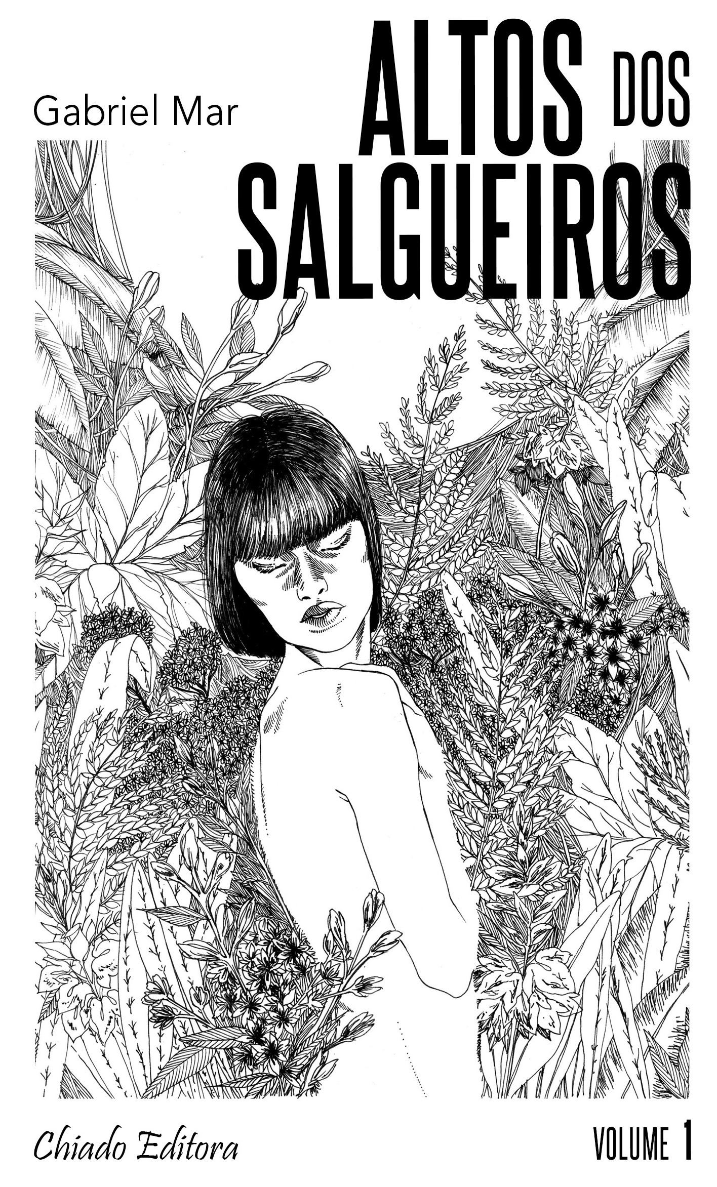 Altos dos Salgueiros book cover