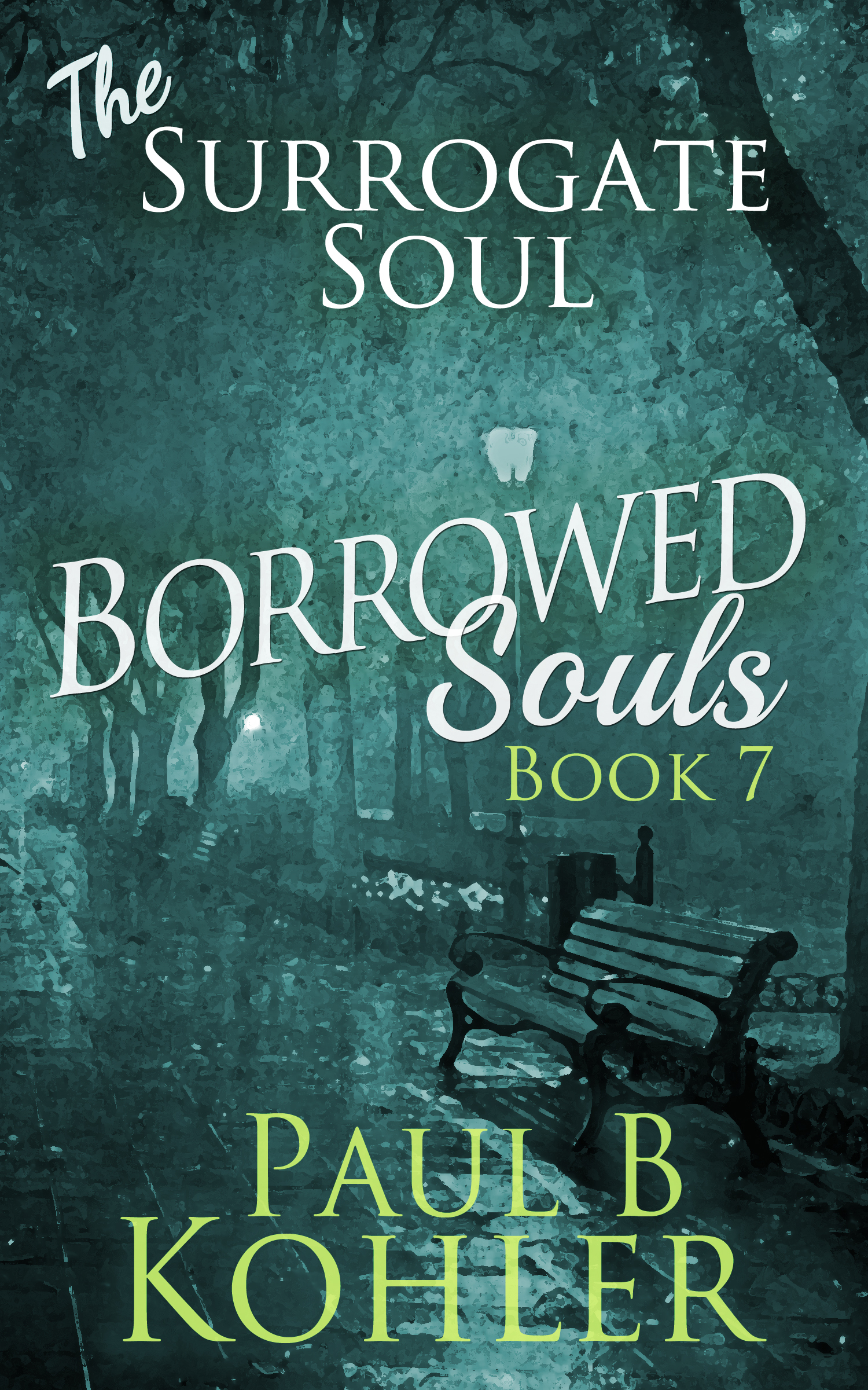 The Surrogate Soul book cover