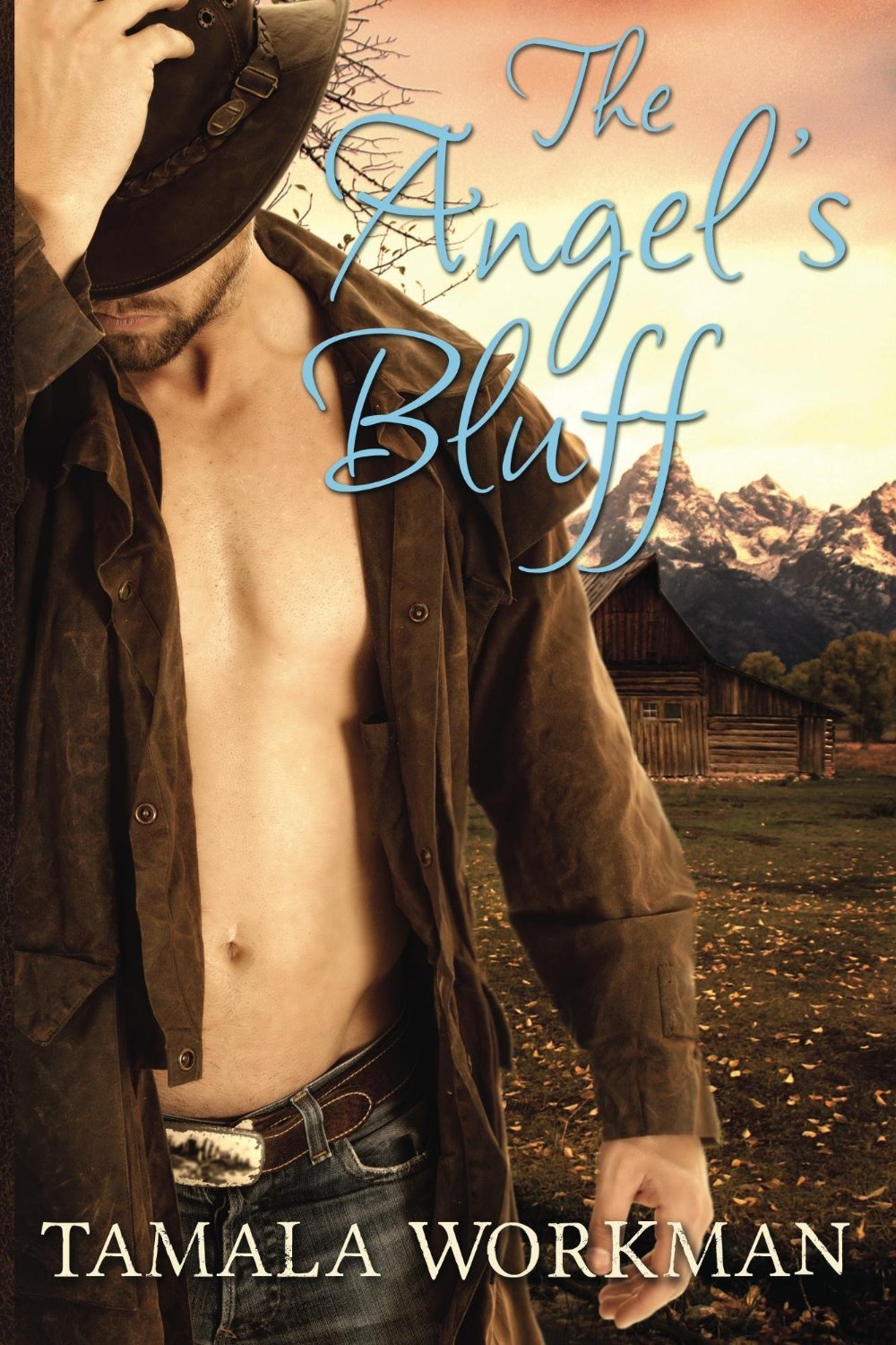 The Angel's Bluff (Call of the Dove #2) by Tamala Workman | Goodreads