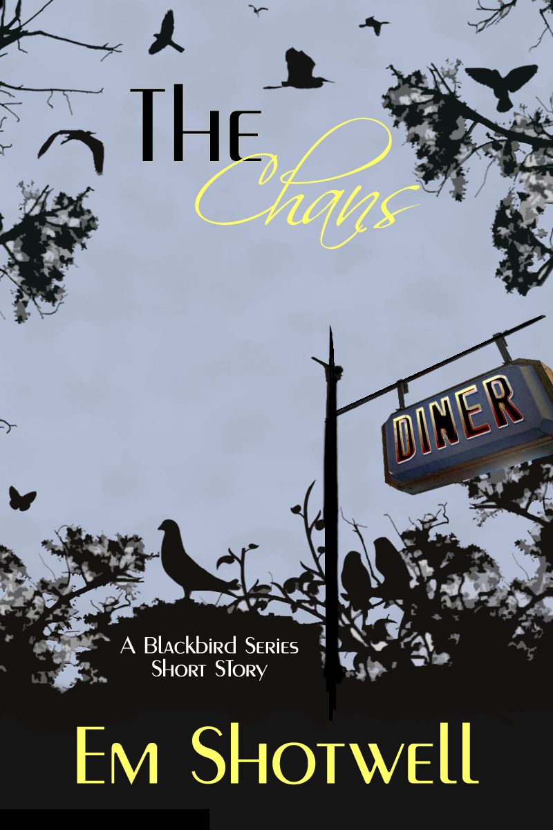 Blackbird book cover 1