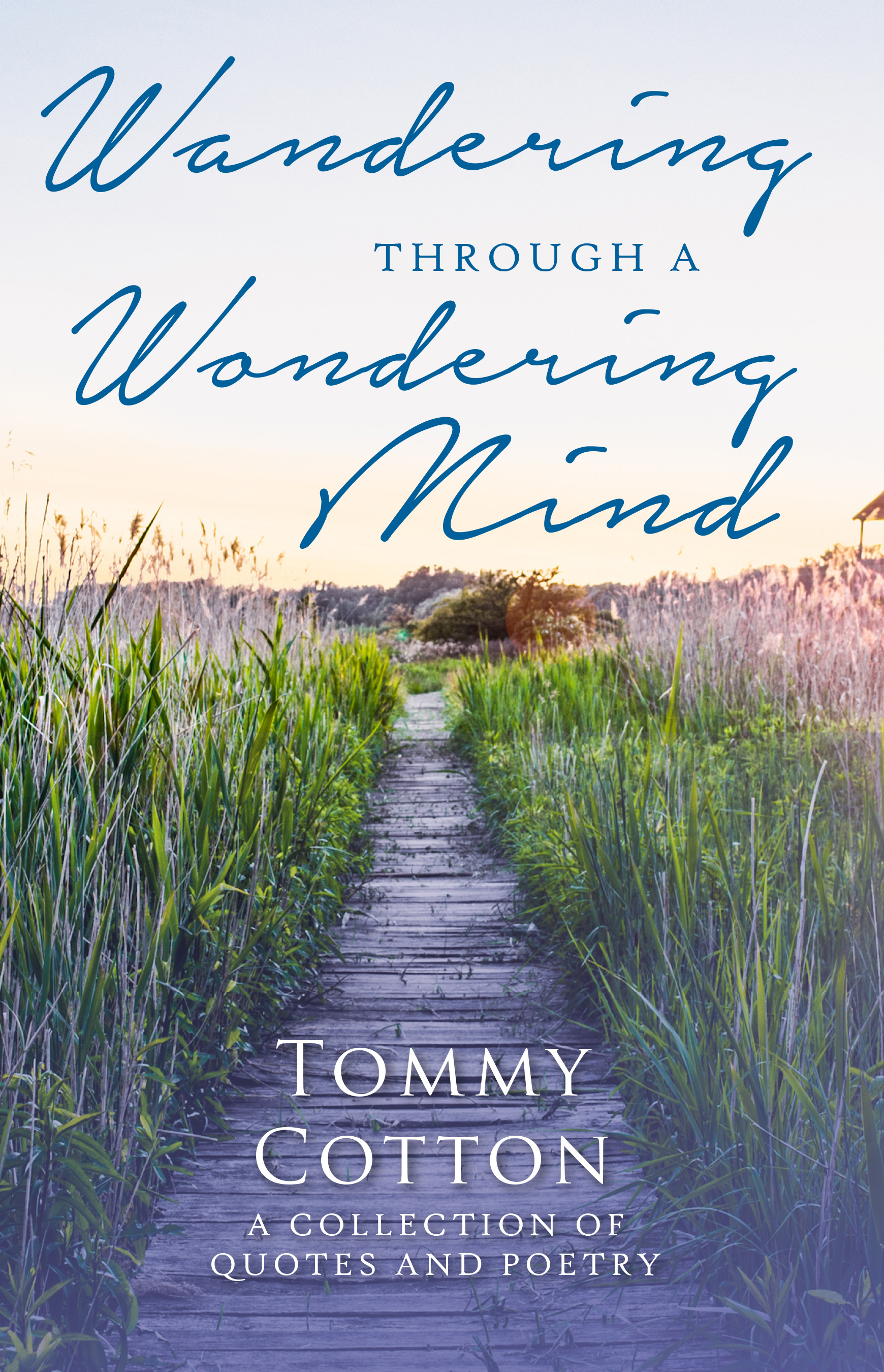 The Twisted Mind Of Tommy Ballard A Profile Of A Man With A Dark Secret - wdtip6m