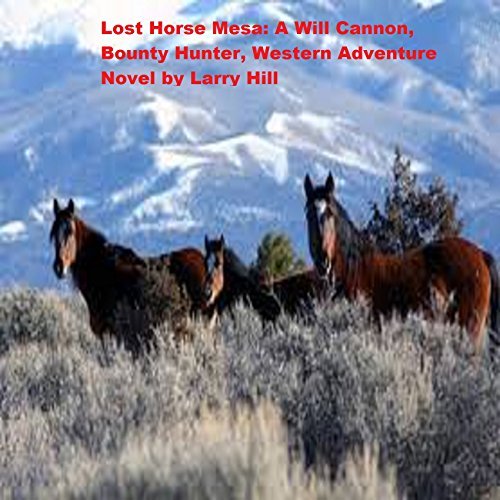 Will Cannon, Bounty Hunter book cover 3