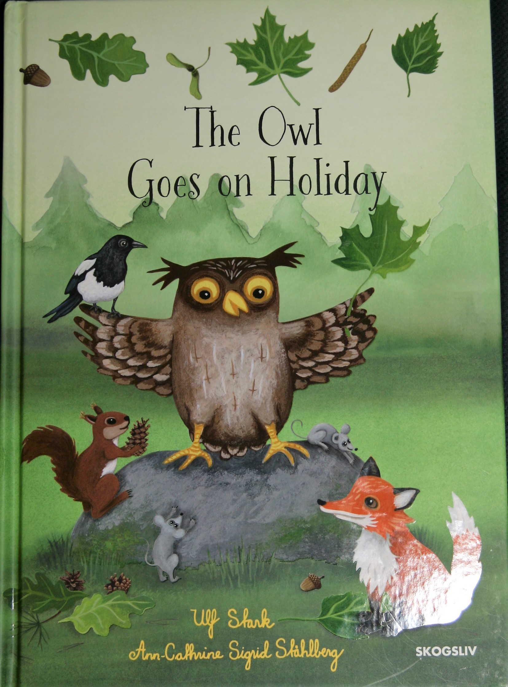 The Owl Goes on Holiday book cover