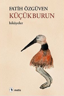 Küçükburun book cover