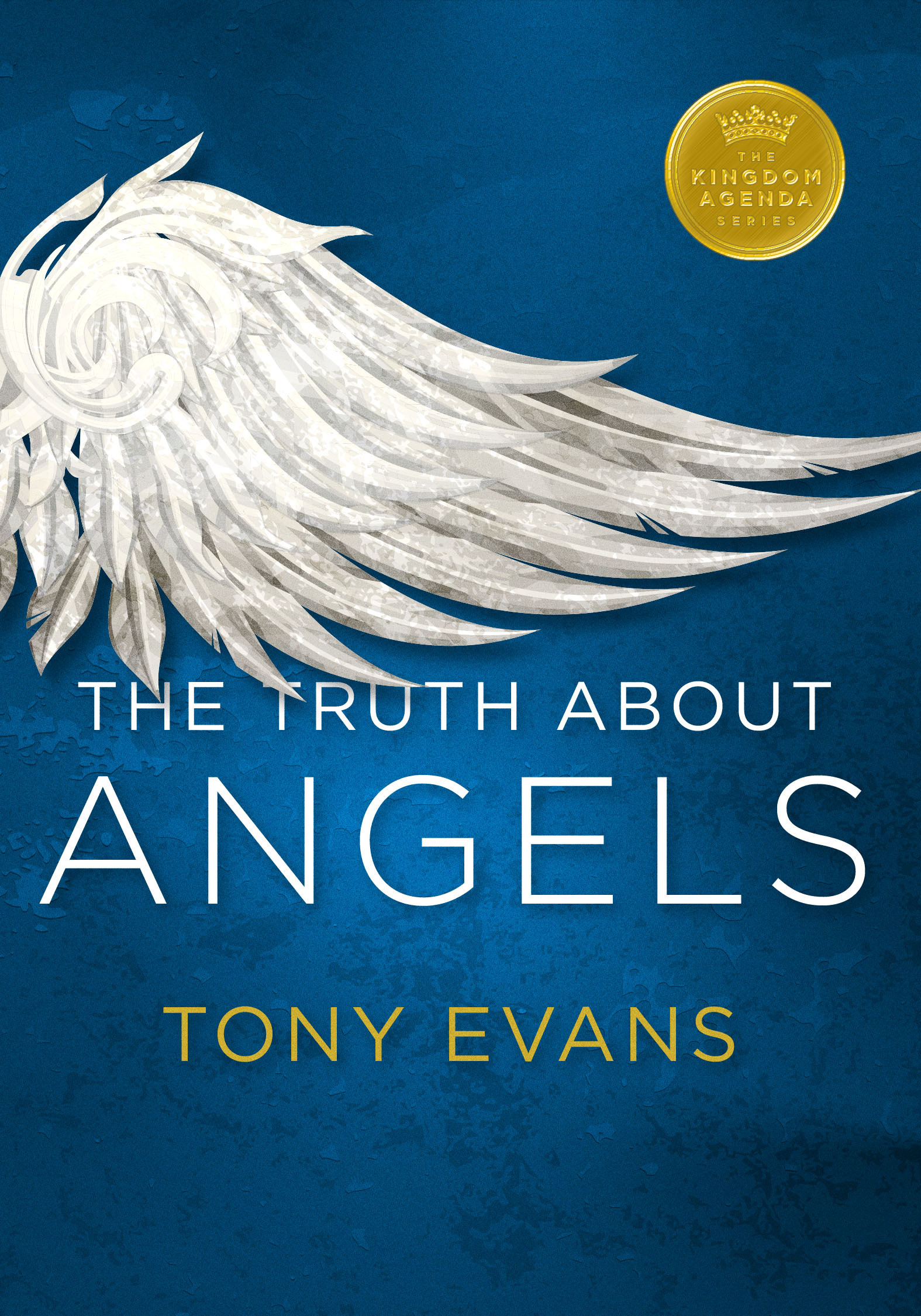 The Truth About Angels book cover