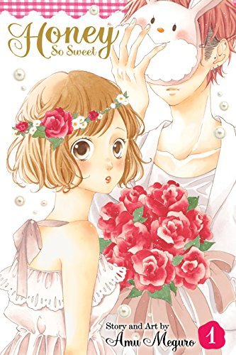 Honey So Sweet, Vol. 1 (Honey So Sweet, #1)