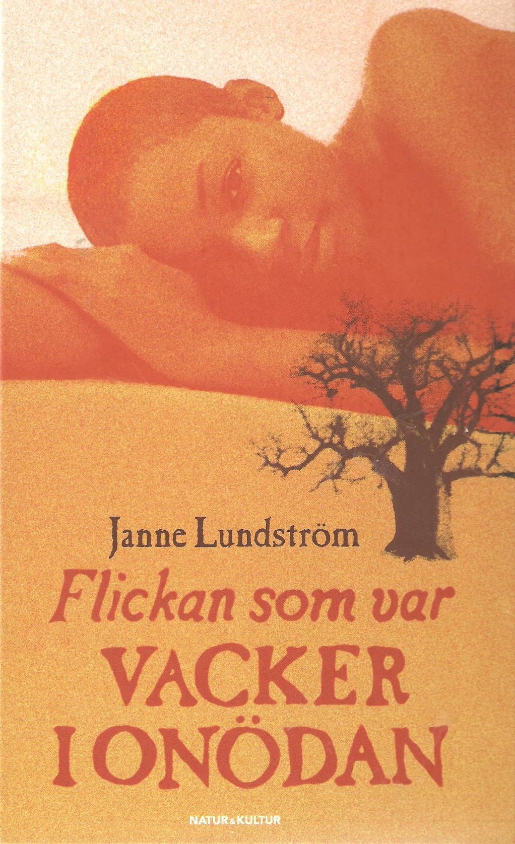 Flickan som var vacker i onödan book cover