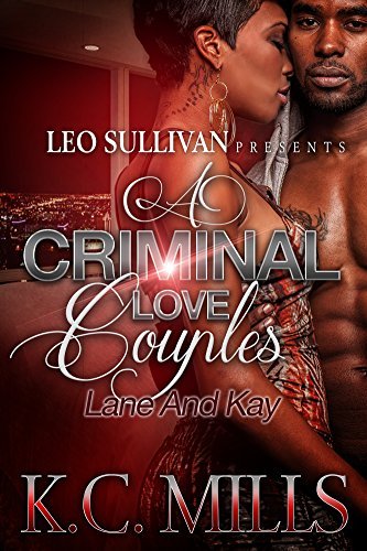 A Criminal Love Couples 2 book cover