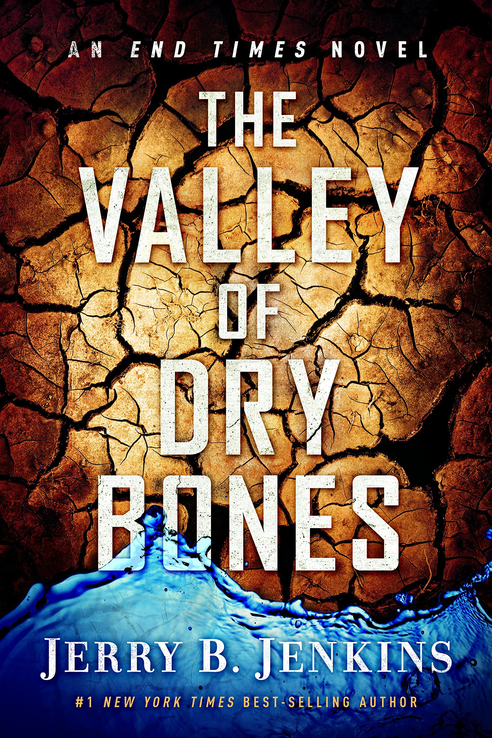 Valley of the Dry Bones book cover