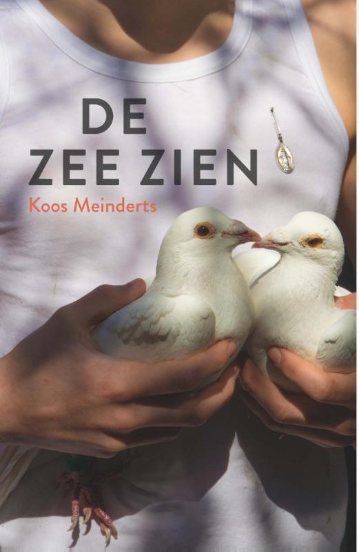 De zee zien book cover