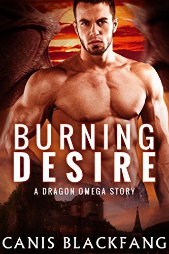 Burning Desire book cover