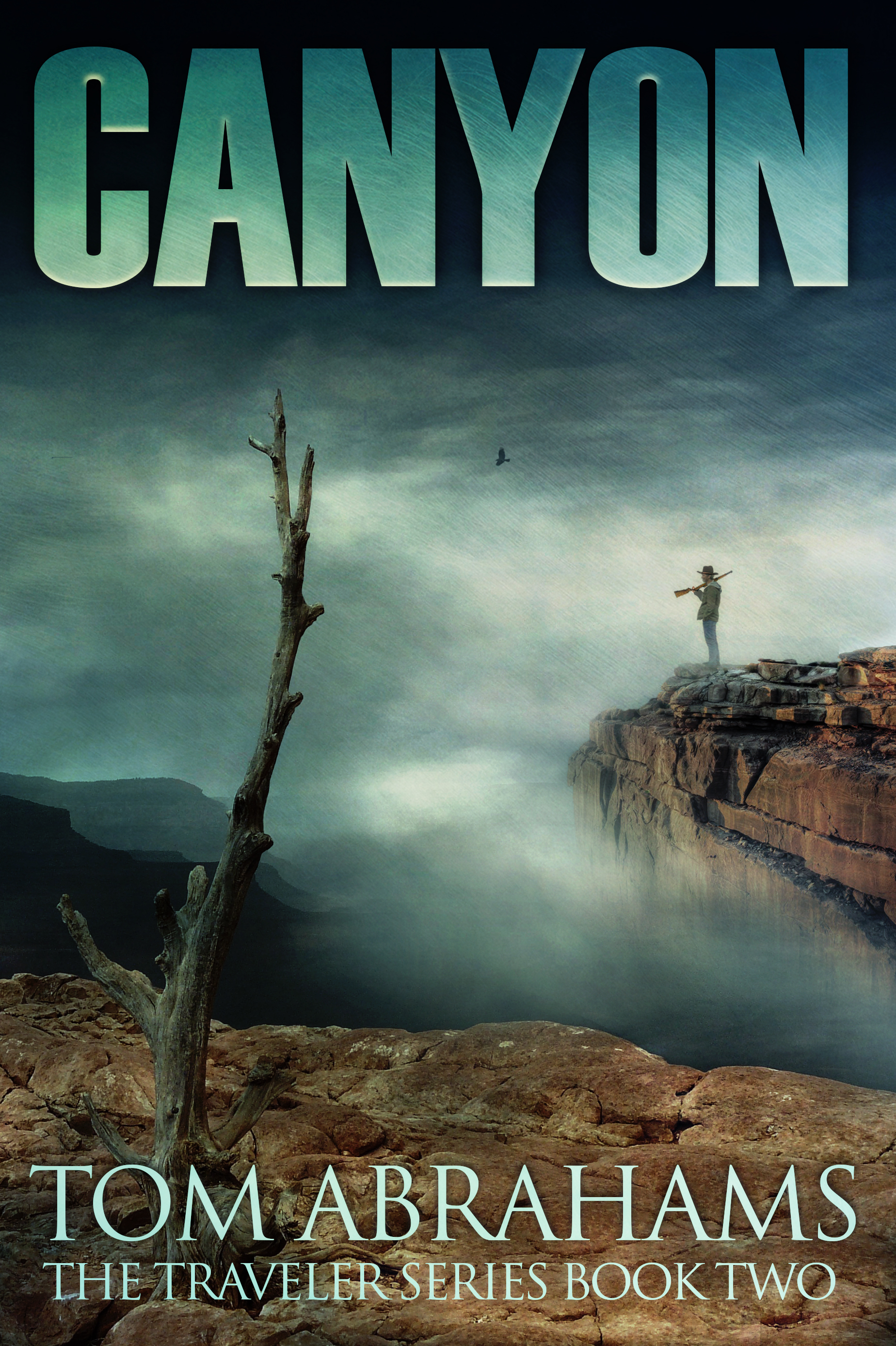 Canyon book cover