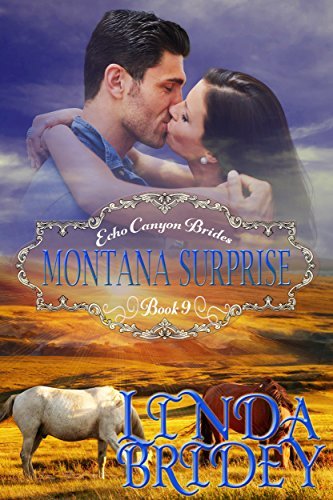 Montana Surprise book cover