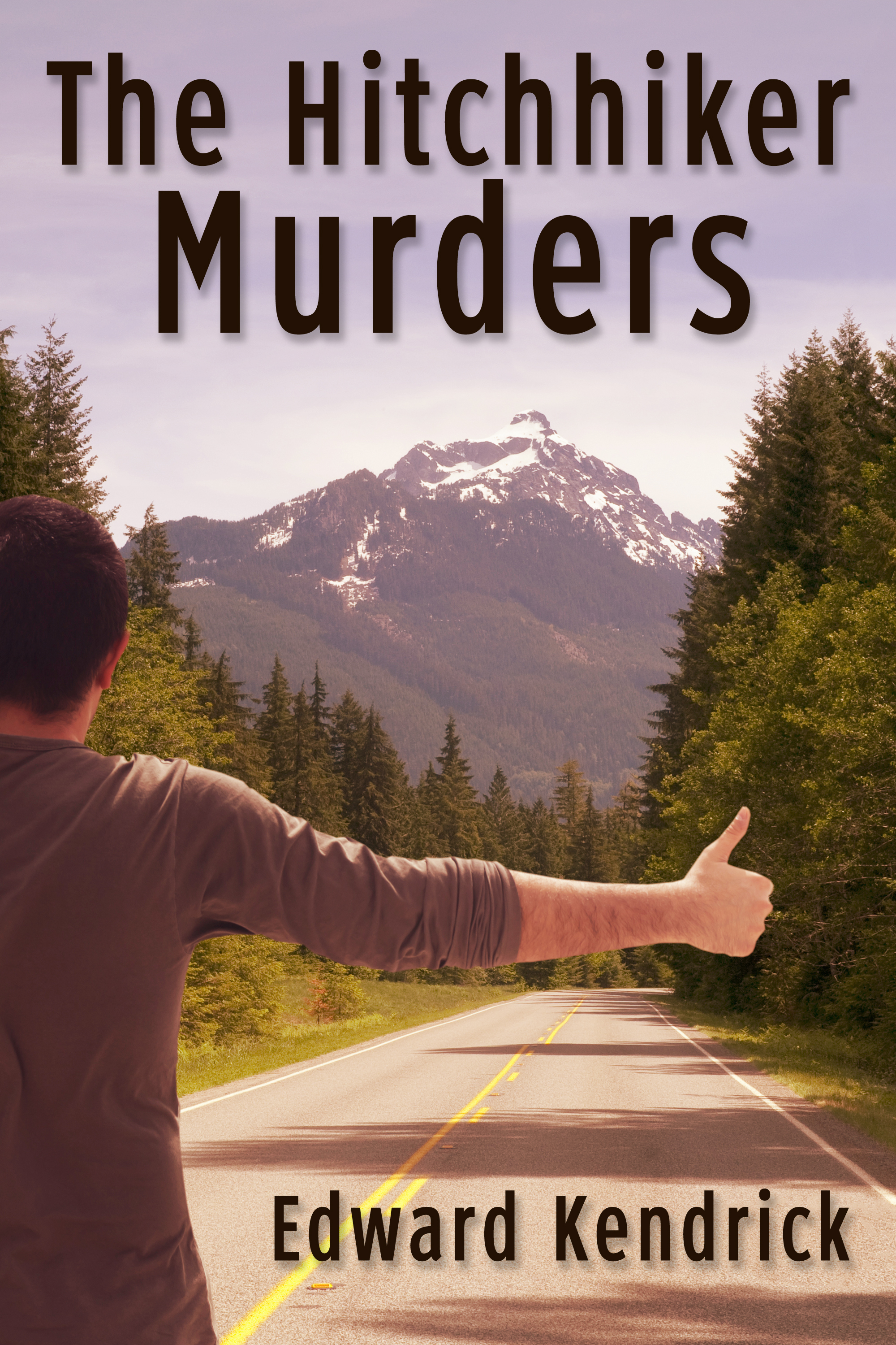 The Hitchhiker Murders book cover