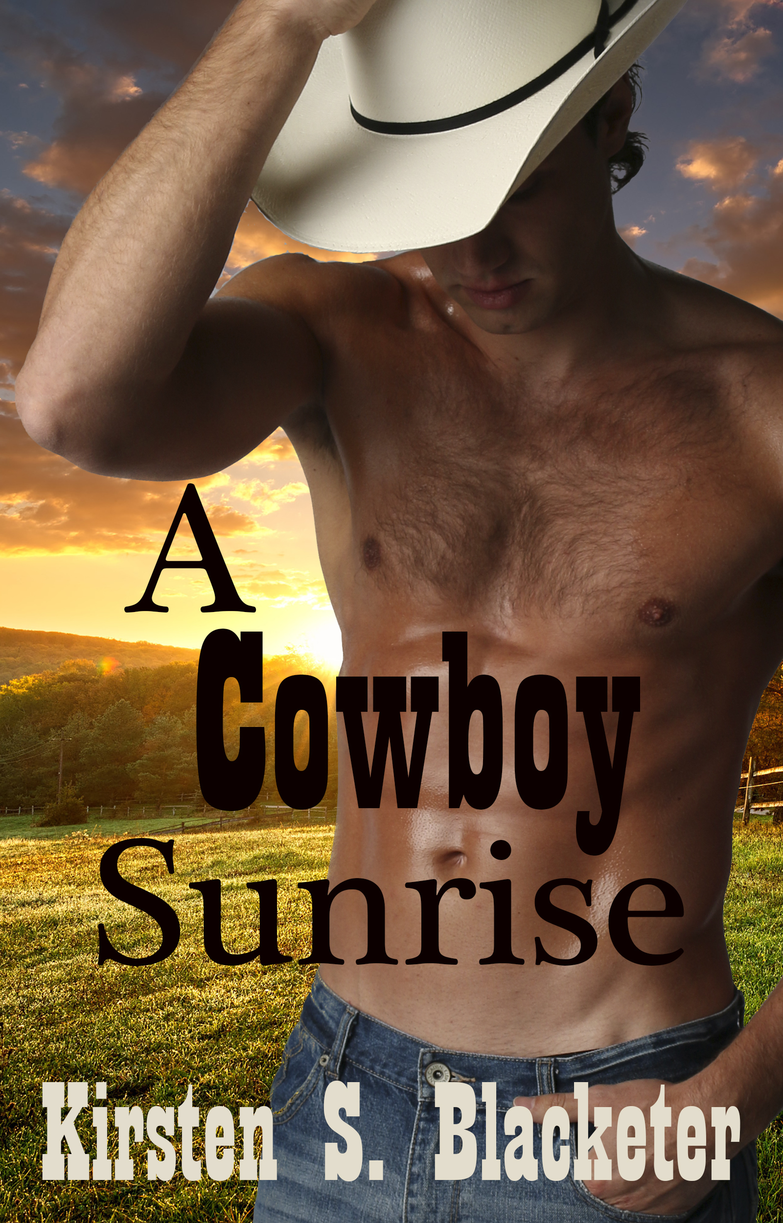 A Cowboy Sunrise book cover