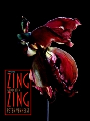 ZING ZING book cover