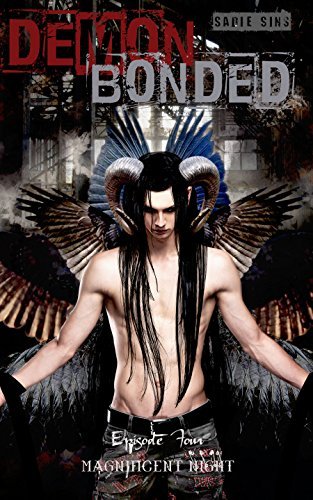 Magnificent Night book cover