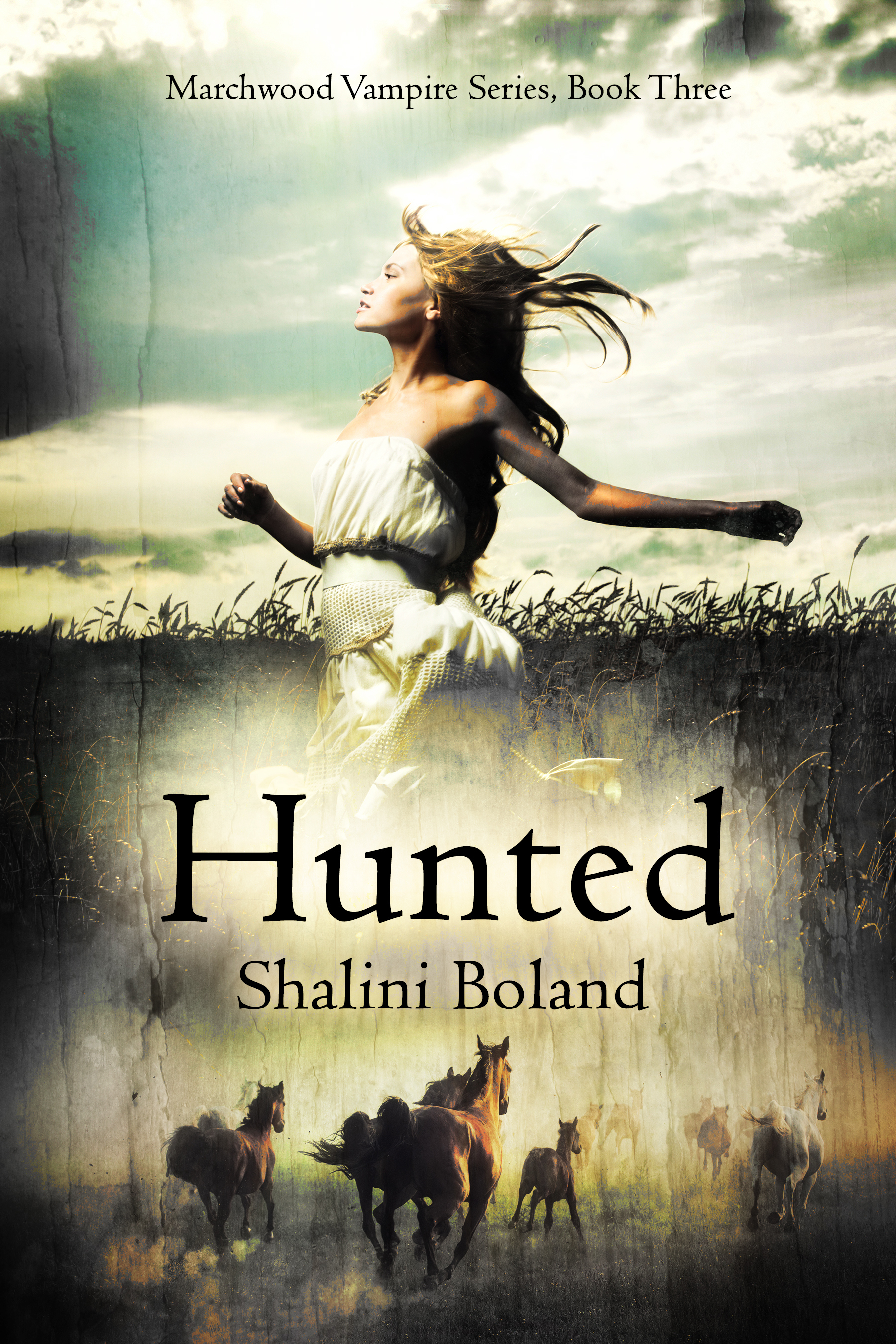 Hunted book cover