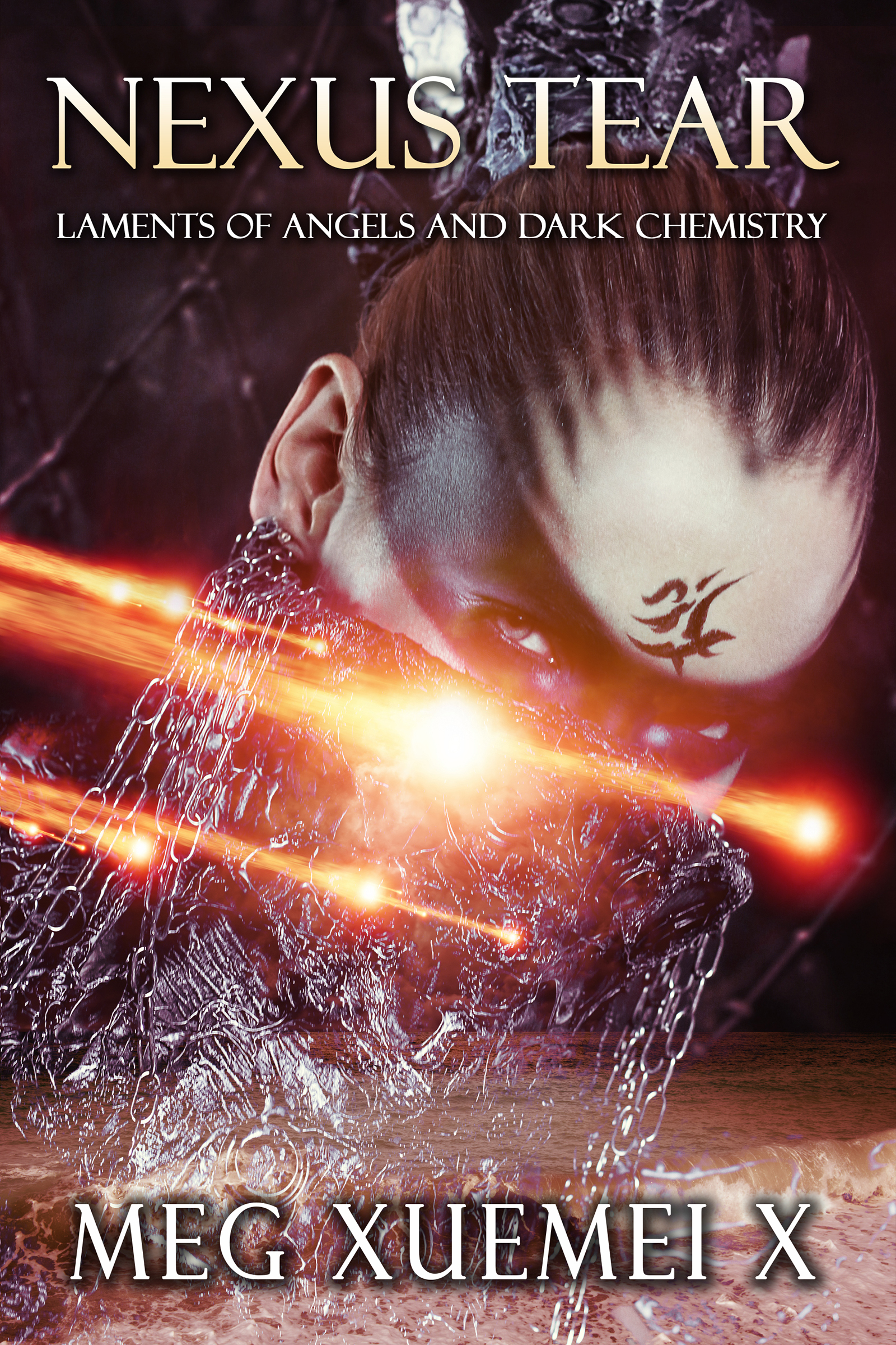Laments of Angels & Dark Chemistry book cover 2