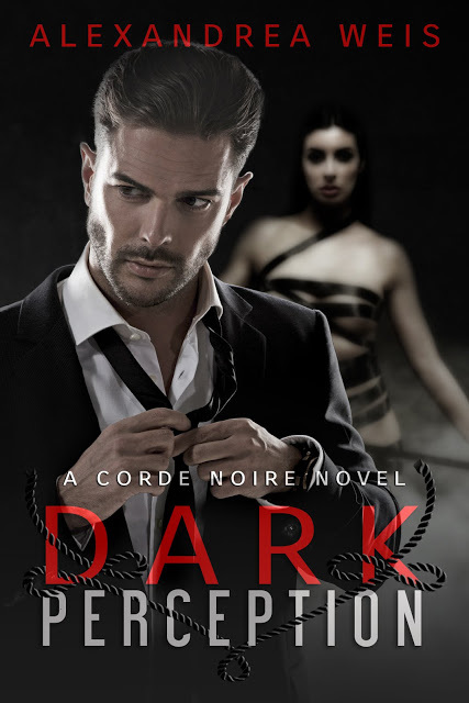 Dark Perception book cover
