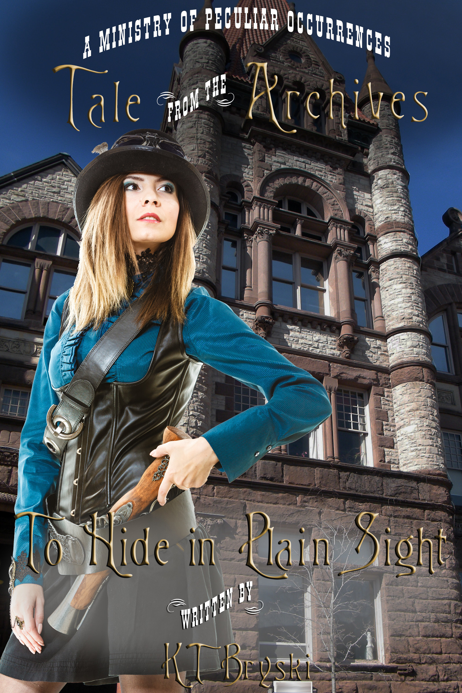 To Hide in Plain Sight book cover